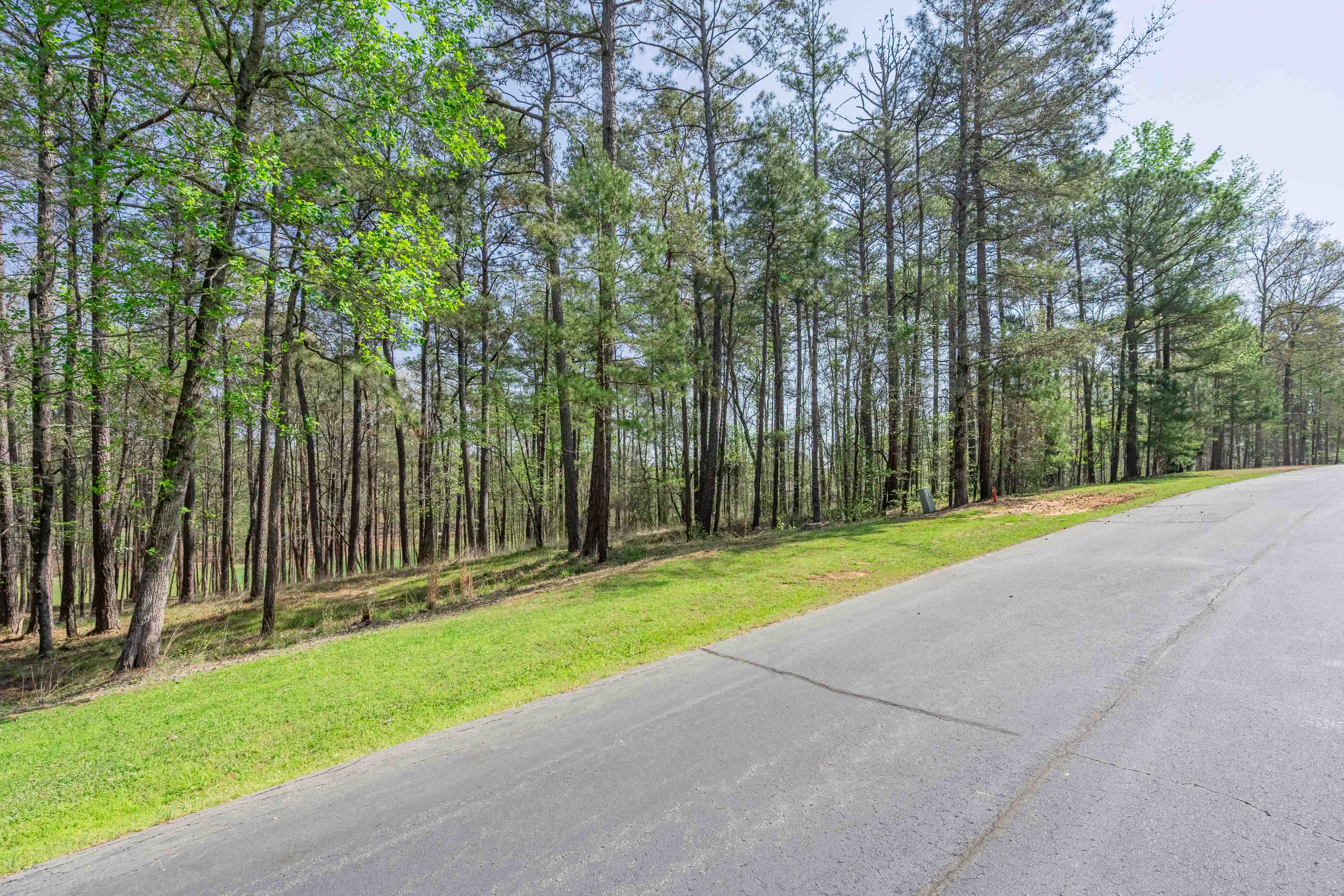 1190 Callahan's Ridge Road image 4